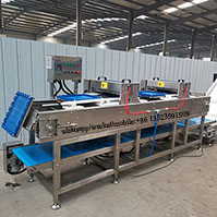 Poultry breast cube cutting machine